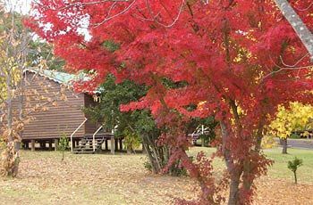 فندق Madison'S Mountain Retreat Bilpin المظهر الخارجي الصورة